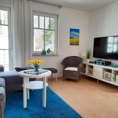 Rosa - Apt. 15